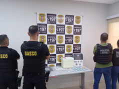 Polícia Civil e Gaeco recuperam insulinas furtadas e investigam possível crime de peculato