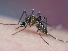 Caldas Novas decreta calamidade com 87 casos suspeitos em 2026