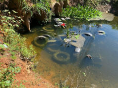 Prefeitura de Várzea Grande limpa córrego cheio de pneus e de lixo em bairro que sofreu alagamentos – Prefeitura de Várzea Grande limpa córrego cheio de pneus e de lixo em bairro que sofreu alagamentos
