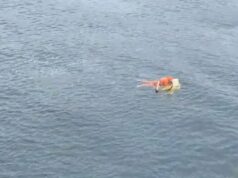 Como porta de geladeira ajudou homem a sobreviver de naufrágio em SC