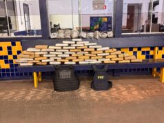 Ação integrada da Força Tática e PRF apreende 73 quilos de supermaconha em Rondonópolis