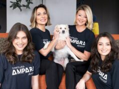 Interações com animais se tornam aliadas das empresas para rotinas mais saudáveis