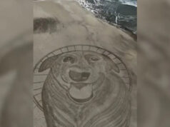 Cão Orelha é homenageado com desenho de 40 metros em praia