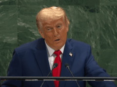 o que é o Conselho da Paz?