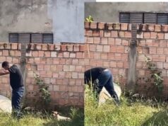 Homem é encontrado morto em terreno baldio; cachorros de estimação estavam ao lado do cadáver