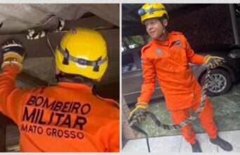 Bombeiros capturam cobra de 2,5 metros em telhado de residência