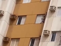 Criança se pendura em tela de apartamento no alto do oitavo andar em prédio em Cuiabá