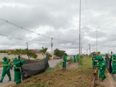 Rodovia Mário Andreazza recebe mutirão de limpeza e sinalização – Rodovia Mário Andreazza recebe mutirão de limpeza e sinalização