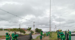 Rodovia Mário Andreazza recebe mutirão de limpeza e sinalização – Rodovia Mário Andreazza recebe mutirão de limpeza e sinalização