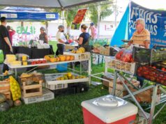 Feira da Família retorna ao Paço Municipal nesta terça-feira (03) – Feira da Família retorna ao Paço Municipal nesta terça-feira (03)