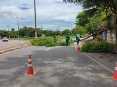 Equipes de zeladoria intensificam ações por bairros e regiões da cidade – Equipes de zeladoria intensificam ações por bairros e regiões da cidade