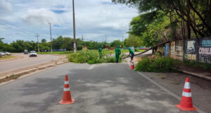 Equipes de zeladoria intensificam ações por bairros e regiões da cidade – Equipes de zeladoria intensificam ações por bairros e regiões da cidade
