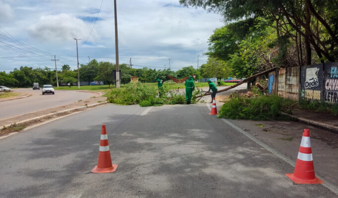 Equipes de zeladoria intensificam ações por bairros e regiões da cidade – Equipes de zeladoria intensificam ações por bairros e regiões da cidade
