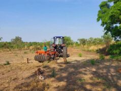 Meio Ambiente e SENAR lançam capacitações estratégicas para a Agricultura Familiar – Meio Ambiente e SENAR lançam capacitações estratégicas para a Agricultura Familiar