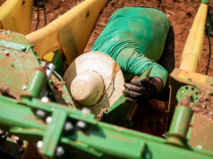Mato Grosso abre 2026 com saldo de 18,7 mil novos empregos com carteira assinada em janeiro