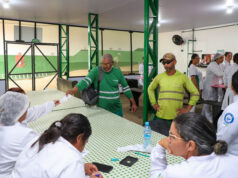Em tarde de atenção e empatia, coletores de lixo de Várzea Grande passam por triagem e vacinação – Em tarde de atenção e empatia, coletores de lixo de Várzea Grande passam por triagem e vacinação