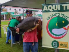 Prefeitura abre chamamento para empresas participarem do VG Santo Peixe – Prefeitura abre chamamento para empresas participarem do VG Santo Peixe