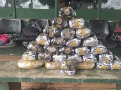 Gefron apreende mais de 16 kg de skunk e causa prejuízo de quase R$ 50 mil as facções criminosas