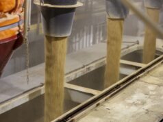 Rondonópolis lidera exportações em Mato Grosso no primeiro bimestre de 2026