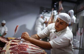 quais sinais para ações do setor?