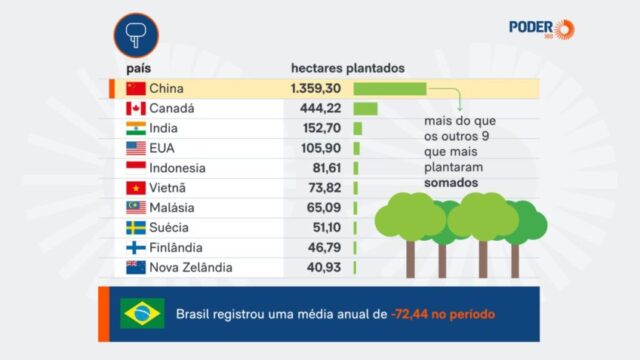 infografico-capa-china-florestas-848x477.jpg