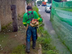 Várzea Grande leva força-tarefa ao Cristo Rei e outros bairros nesta terça-feira (07) – Várzea Grande leva força-tarefa ao Cristo Rei e outros bairros nesta terça-feira (07)