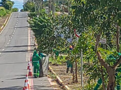Várzea Grande reforça limpeza em bairros e avenidas nesta quarta-feira (01) – Várzea Grande reforça limpeza em bairros e avenidas nesta quarta-feira (01)