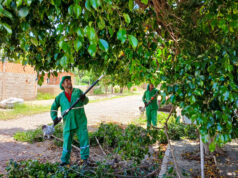 População pode solicitar serviços de limpeza e fortalecer participação ativa em Várzea Grande – População pode solicitar serviços de limpeza e fortalecer participação ativa em Várzea Grande