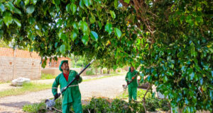 População pode solicitar serviços de limpeza e fortalecer participação ativa em Várzea Grande – População pode solicitar serviços de limpeza e fortalecer participação ativa em Várzea Grande