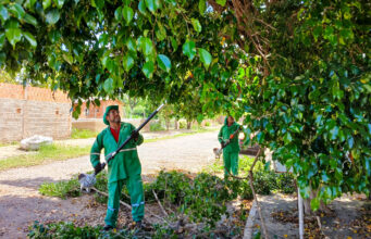 População pode solicitar serviços de limpeza e fortalecer participação ativa em Várzea Grande – População pode solicitar serviços de limpeza e fortalecer participação ativa em Várzea Grande