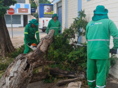 Costa Verde recebe ação intensiva contra bolsões de lixo em Várzea Grande – Costa Verde recebe ação intensiva contra bolsões de lixo em Várzea Grande