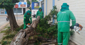 Costa Verde recebe ação intensiva contra bolsões de lixo em Várzea Grande – Costa Verde recebe ação intensiva contra bolsões de lixo em Várzea Grande