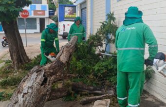 Costa Verde recebe ação intensiva contra bolsões de lixo em Várzea Grande – Costa Verde recebe ação intensiva contra bolsões de lixo em Várzea Grande