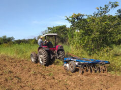 Pequenos produtores de VG participam de curso para elevar produtividade e renda – Pequenos produtores de VG participam de curso para elevar produtividade e renda