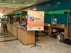Feira de Artesanato valoriza cultura e movimenta economia em Várzea Grande – Feira de Artesanato valoriza cultura e movimenta economia em Várzea Grande