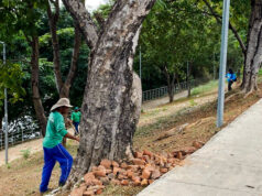 Prefeitura realiza limpeza e revitalização da Orla da Alameda em Várzea Grande – Prefeitura realiza limpeza e revitalização da Orla da Alameda em Várzea Grande
