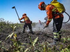 BOMBEIROS