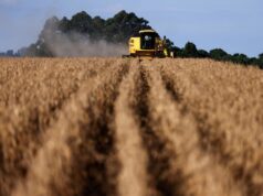 “El Niño Godzilla” coloca Brasil no centro do risco climático para os mercados