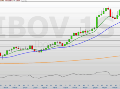 Ibovespa tem pior sequência já registrada após máxima histórica