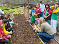 Horta escolar de Várzea Grande concorre a prêmio nacional de educação integral e sustentabilidade – Horta escolar de Várzea Grande concorre a prêmio nacional de educação integral e sustentabilidade