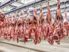 UE fecha mercado para carnes do Brasil e coloca US$ 1,8 bilhão em risco