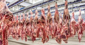 UE fecha mercado para carnes do Brasil e coloca US$ 1,8 bilhão em risco