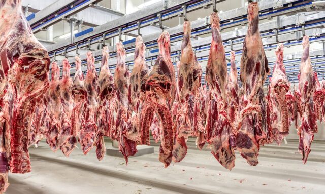 carne.jpg