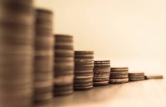 Vale a pena reinvestir dividendos? Veja efeito com Petrobras, Vale, BB e Taesa