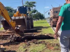 Figueirinha e Costa Verde recebem força-tarefa do VG em Ação nesta terça-feira (16) – Figueirinha e Costa Verde recebem força-tarefa do VG em Ação nesta terça-feira (16)