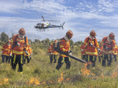 BOMBEIROS