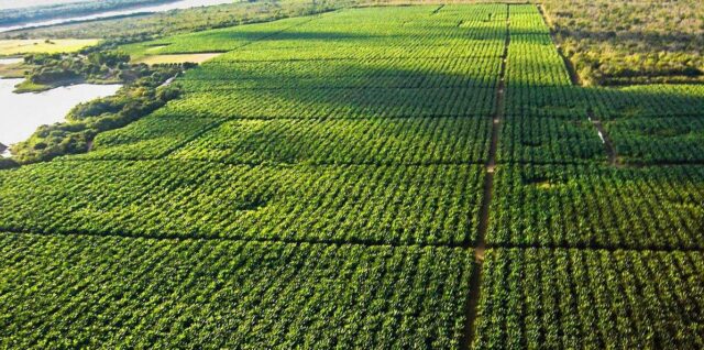 Agricultura_irrigada_no_vale_do_sao_francisco_bahia_e_pernambuco-e1756229049314.jpg