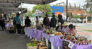 Várzea Grande sedia a maior vitrine da agricultura familiar da Baixada Cuiabana e reúne produtores de toda a região – Várzea Grande sedia a maior vitrine da agricultura familiar da Baixada Cuiabana e reúne produtores de toda a região