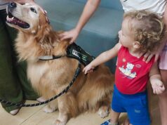 Alunos do Centro João Ribeiro poderão ter atividades de recreação com cães de terapia – Alunos do Centro João Ribeiro poderão ter atividades de recreação com cães de terapia