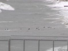 Milhares atravessam fronteira entre Marrocos e Espanha a nado; 15 morrem
